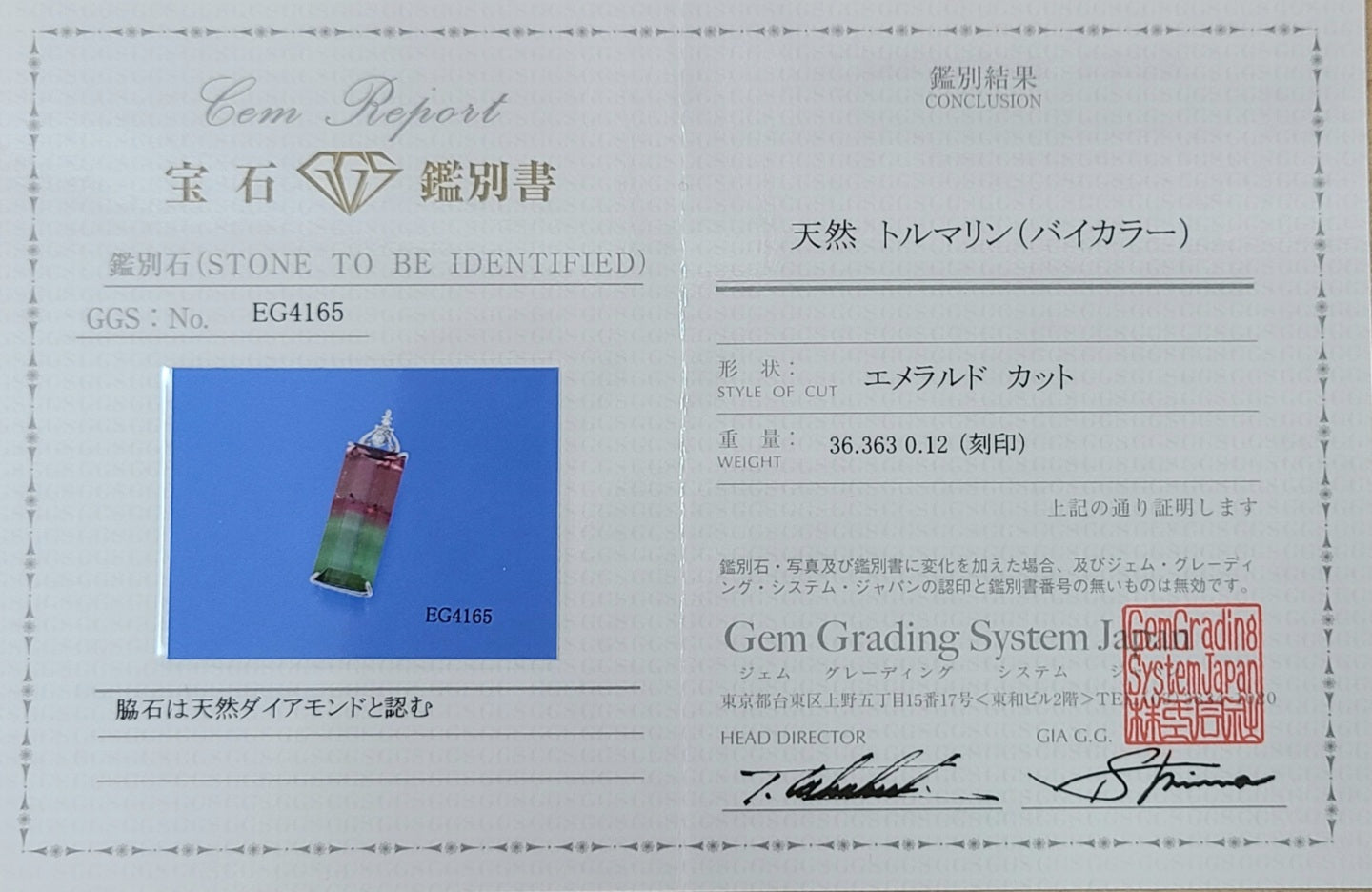 自然の神秘 奇跡の色彩 バイカラー 天然 トルマリン ダイヤモンド Pt900 プラチナ ペンダントトップ ネックレス ヘッド 10月誕生石 【鑑別書付】