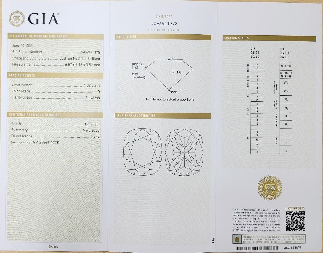Pt900 戒指 [附 GIA 證書]，資產防護與遺產保護的至尊產品。