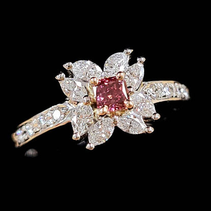 Super Rare 0.14ct Fancy Red Natural Red Diamond Fan Sea Red PT900 Platinum K18 PG Pink Gold 18 Gold Ring Ring [GIA Appraisal]